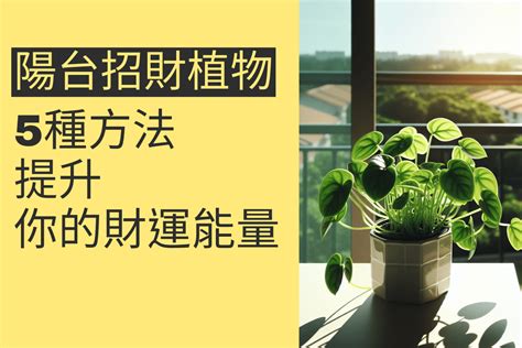 陽台 樹 風水|前陽台招財植物大全！15 種適合陽台的植物助你財源。